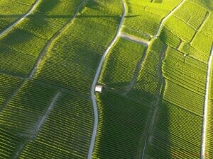 aerial of vineyard fields between lausanne and geneva in switzer 1