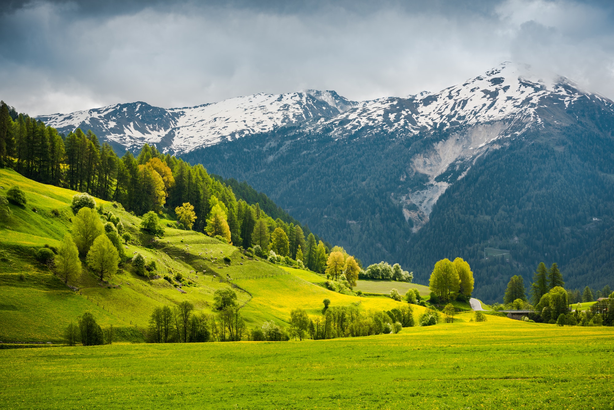 breathtaking-view-over-summer-colors-in-alpine-switzerland-the-swiss