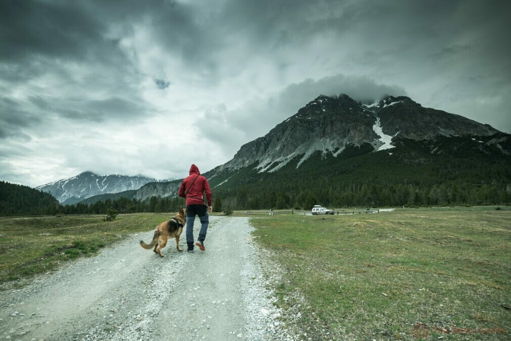 man with dog trekking mountains in switzerland