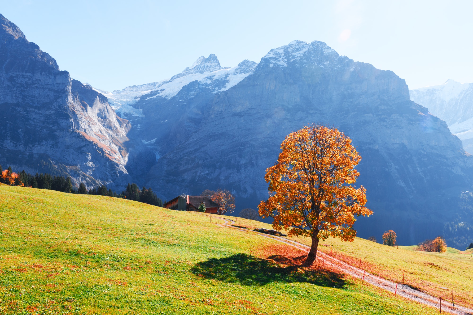 picturesque-autumn-landscape-in-grindelwald-village-the-swiss-quality