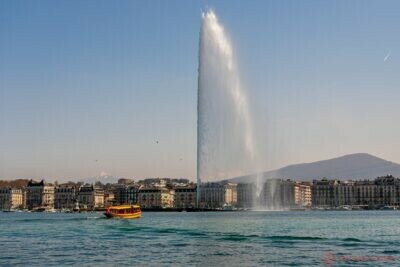 the geneva water fountain jet d, Business Leadership and Innovation, Leveraging Technology for Global Insight, Business Resilience - Business Innovation - Impact of Heritage on Professional Success - Pollock's Artistic Identity - Empowering Leadership in the Digital Era - emotional health and sleep