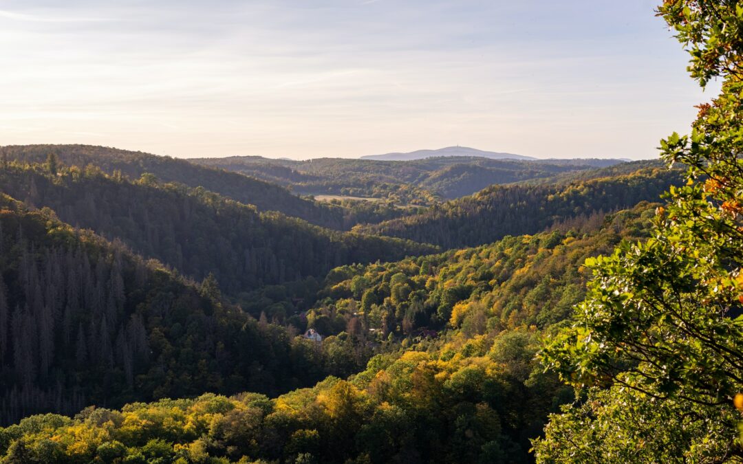 beautiful view of saxon switzerland national park in germany