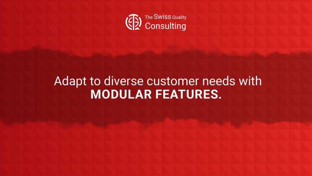 Modular Features for Diverse Customer Needs