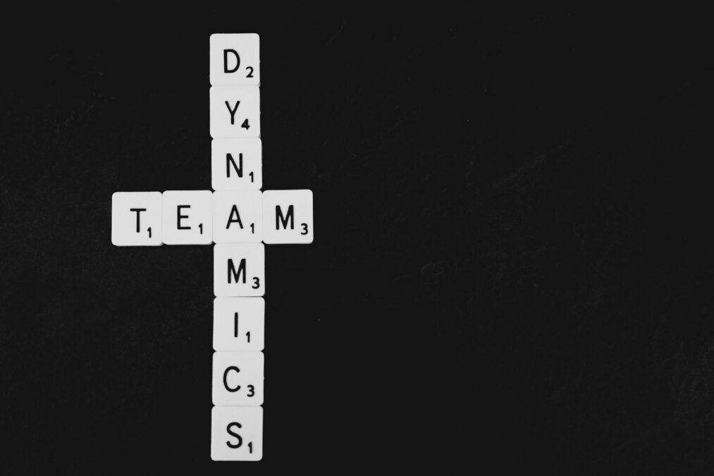 Teamwork Dynamics