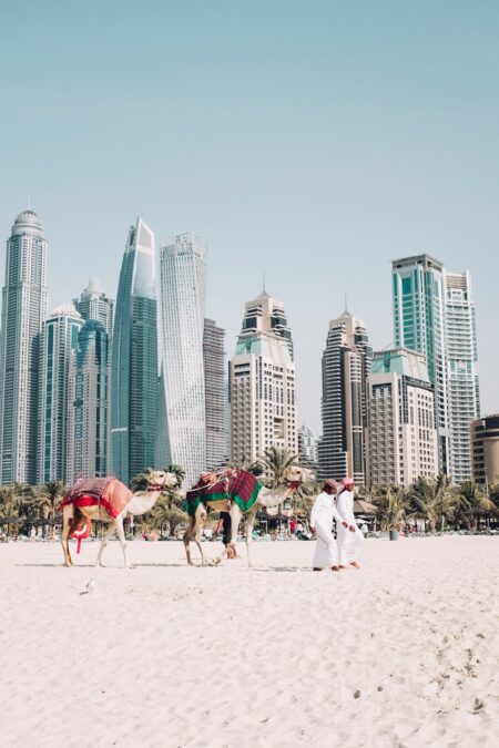 Dubai's Smart City Evolution