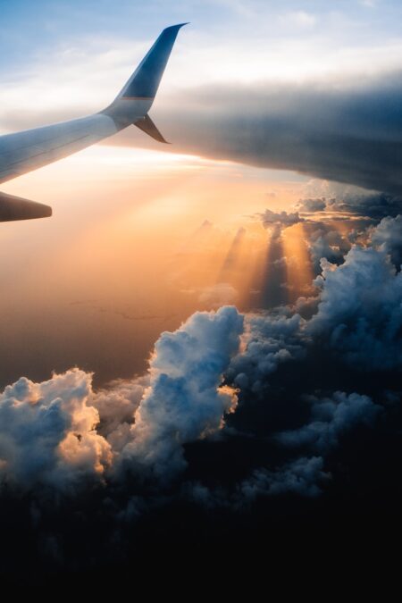 Resilience in the Air Travel Industry