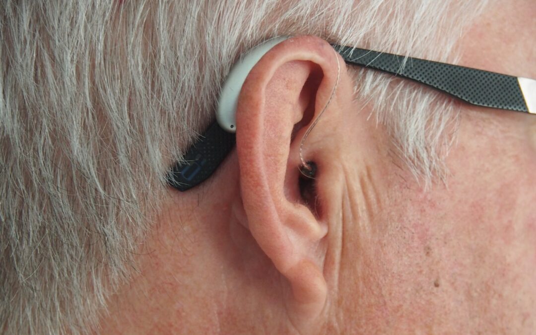 Ear Biometrics