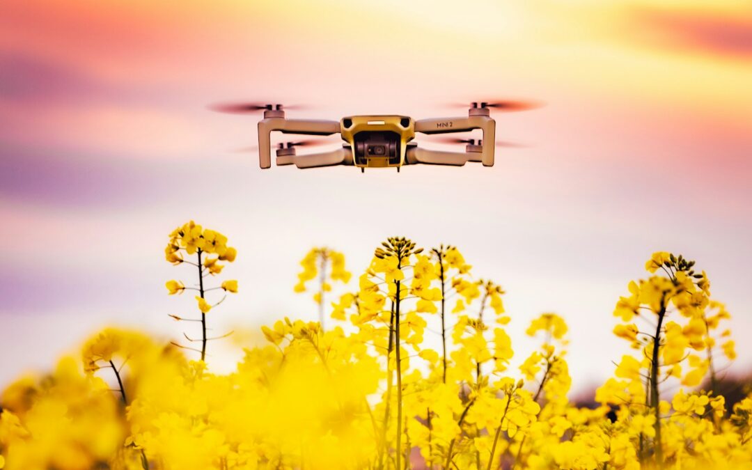 Drones in Large-Scale Farming