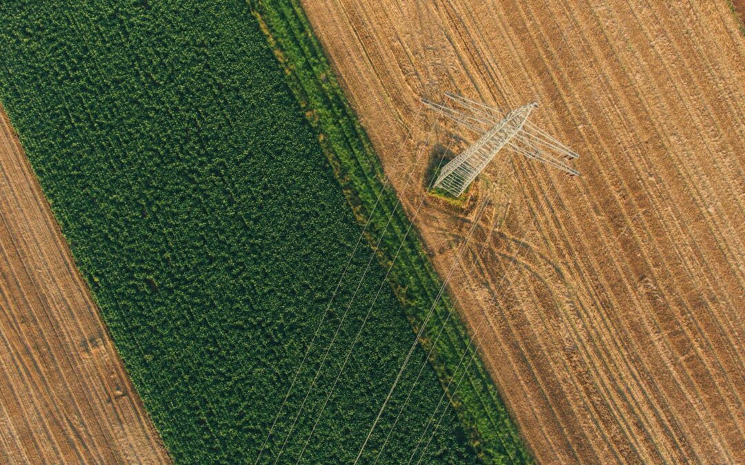 Drones for Crop Yield Estimation: Enhancing Agricultural Efficiency in Saudi Arabia and UAE