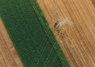 Drones for Crop Yield Estimation