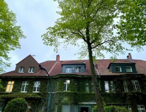 vertical gardens and green roofs