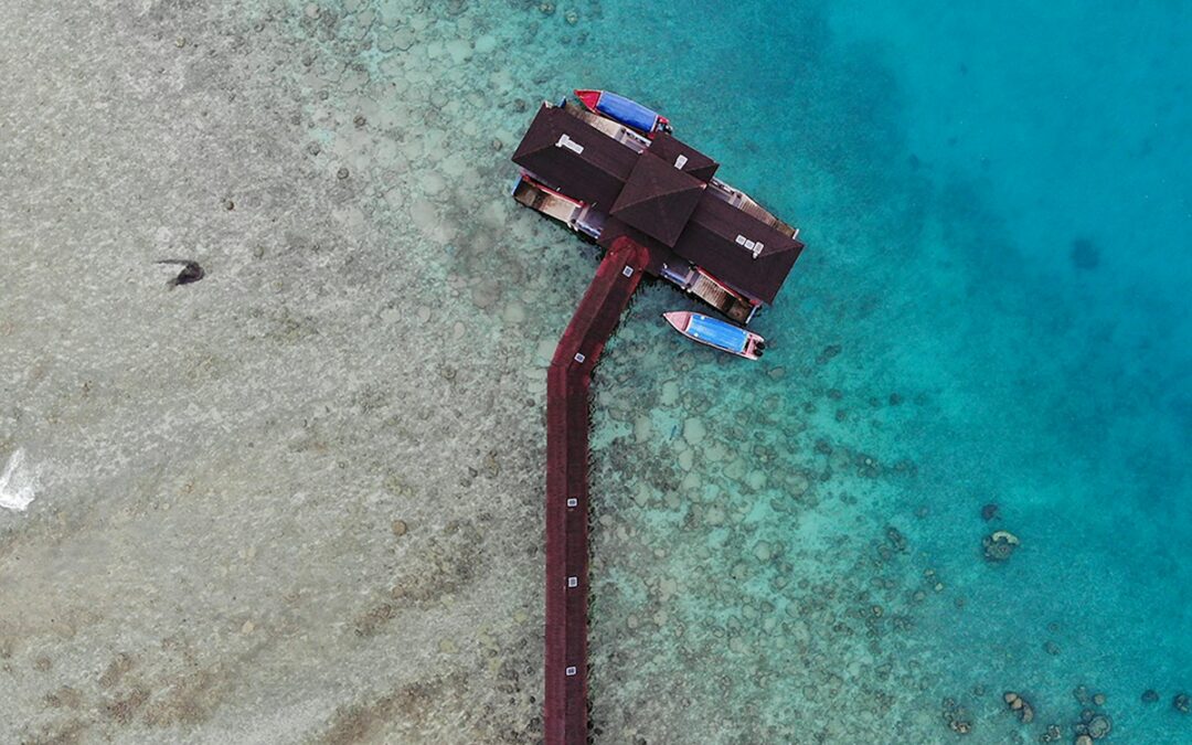 Drones in Ocean Monitoring