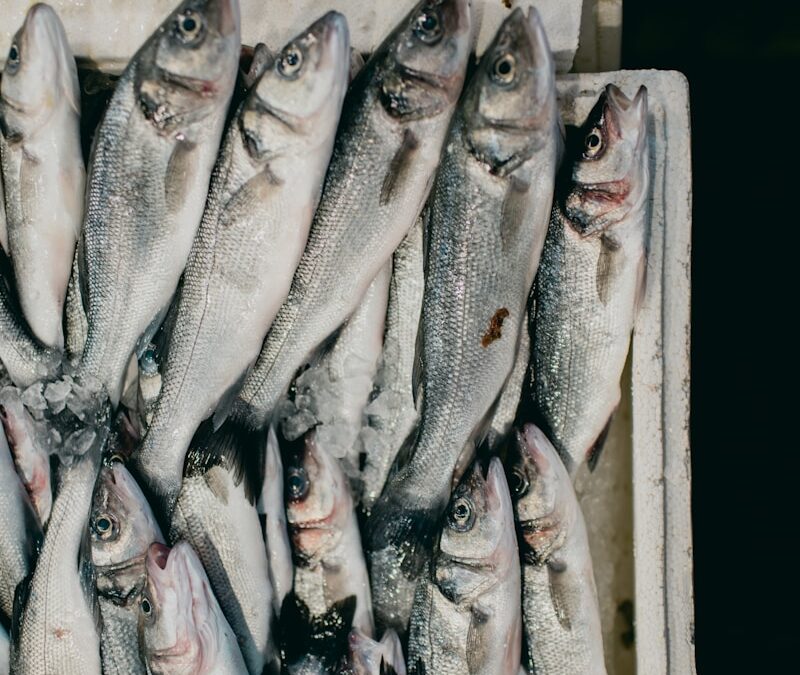 Aquaculture and Fish Farming Techniques: Sustainable Seafood Solutions