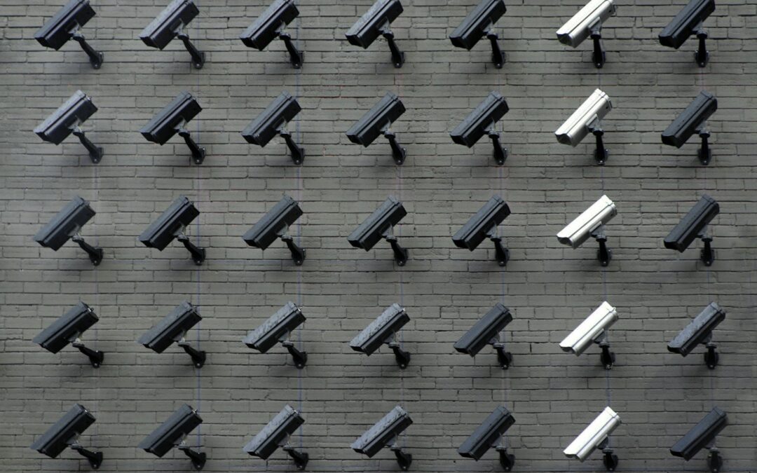 Consequences of Technology on Privacy and Surveillance: Impacts on Social Trust and Freedom