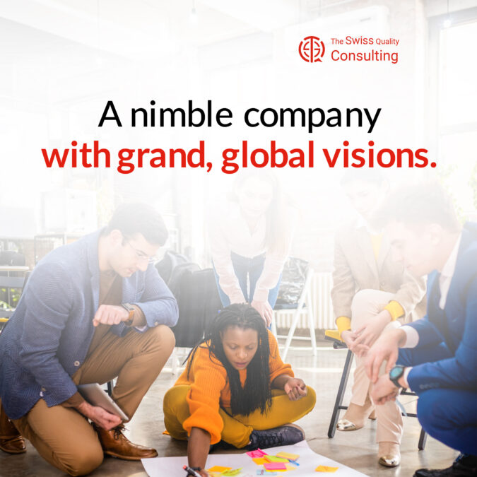Empowering Nimble Companies: Executive Coaching for Global Success