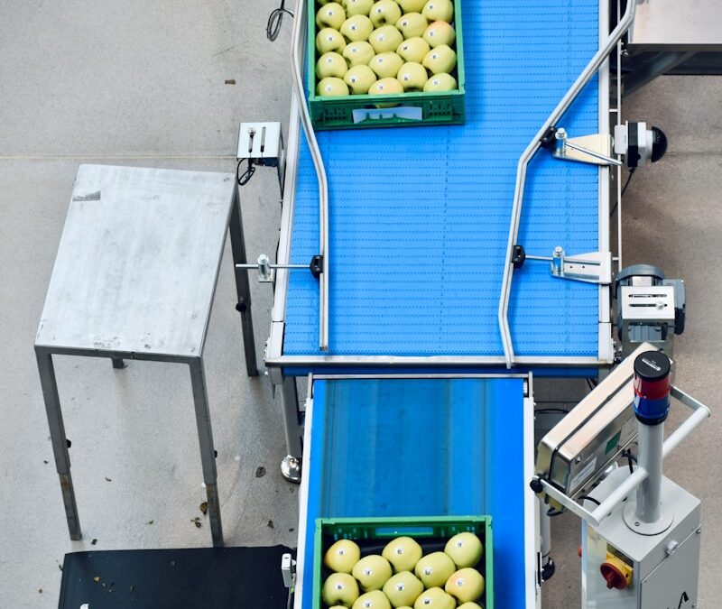 Automation and Robotics in Vertical Farming: Enhancing Efficiency and Reducing Labor Costs