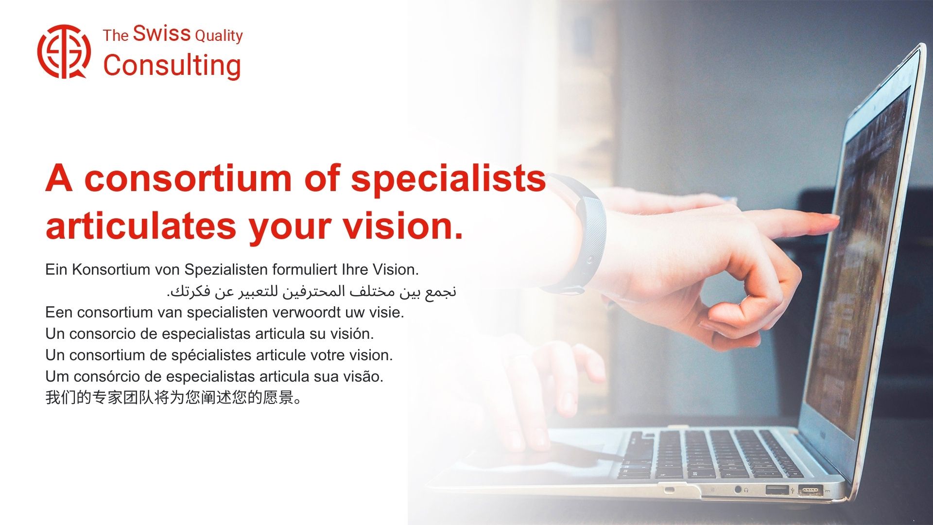 Specialist Articulated Vision