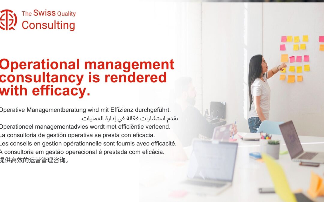 Operational Management Consultancy