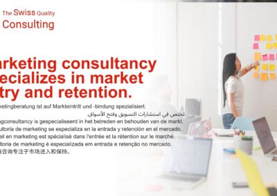 Marketing Consultancy for Market Entry and Retention