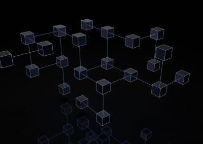 Blockchain Networks