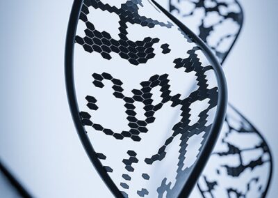 Research in DNA-Based Computation