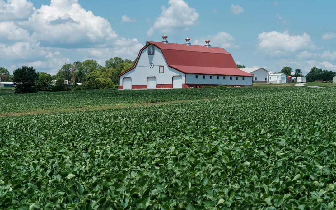 Agricultural Sector - Landwirtschaftssektor