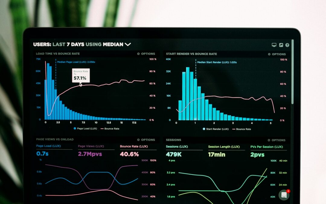 Performance Audits